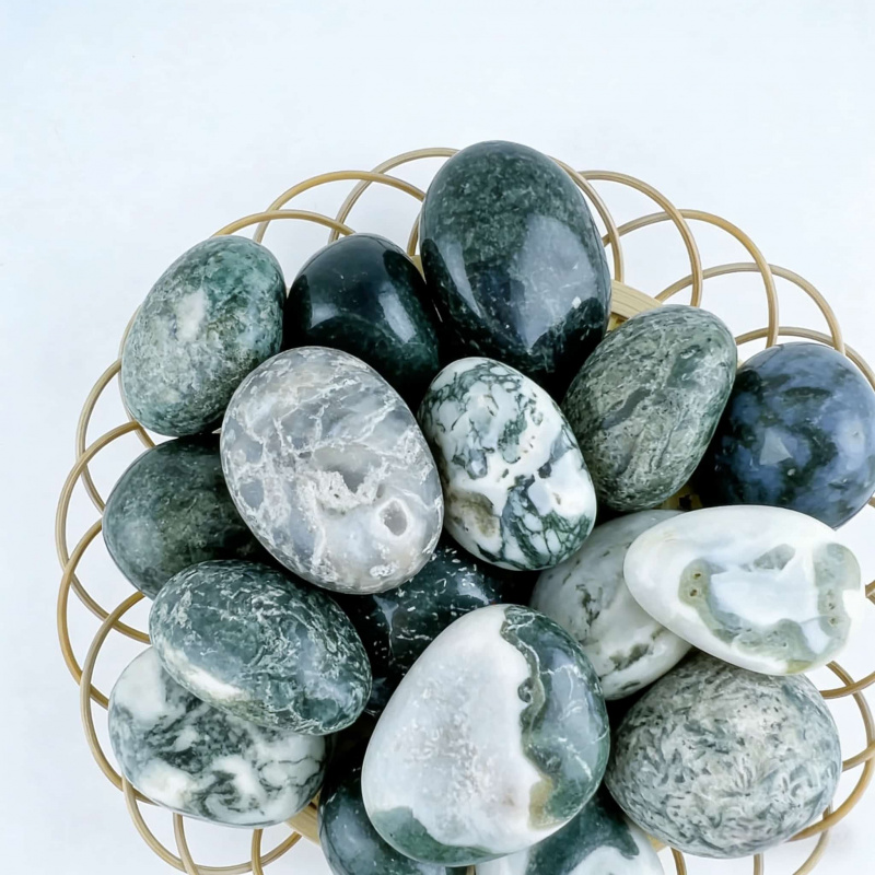 Natural Moss Agate Crushed Sto - Echeveria Succulent のレビューと価格