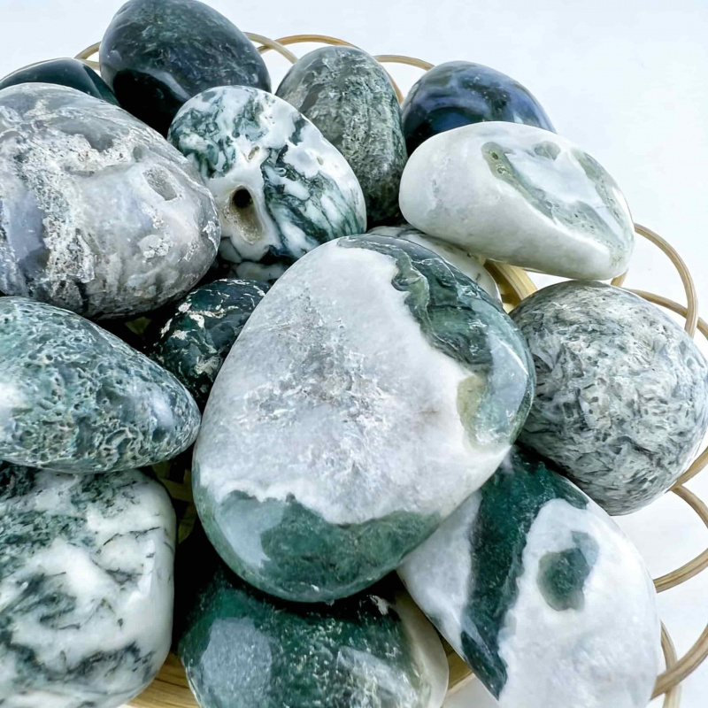 Natural Moss Agate Crushed Sto - Echeveria Succulent のレビューと価格