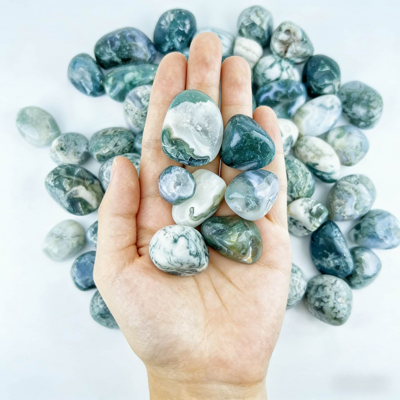 Natural Moss Agate Crushed Sto - Echeveria Succulent のレビューと価格