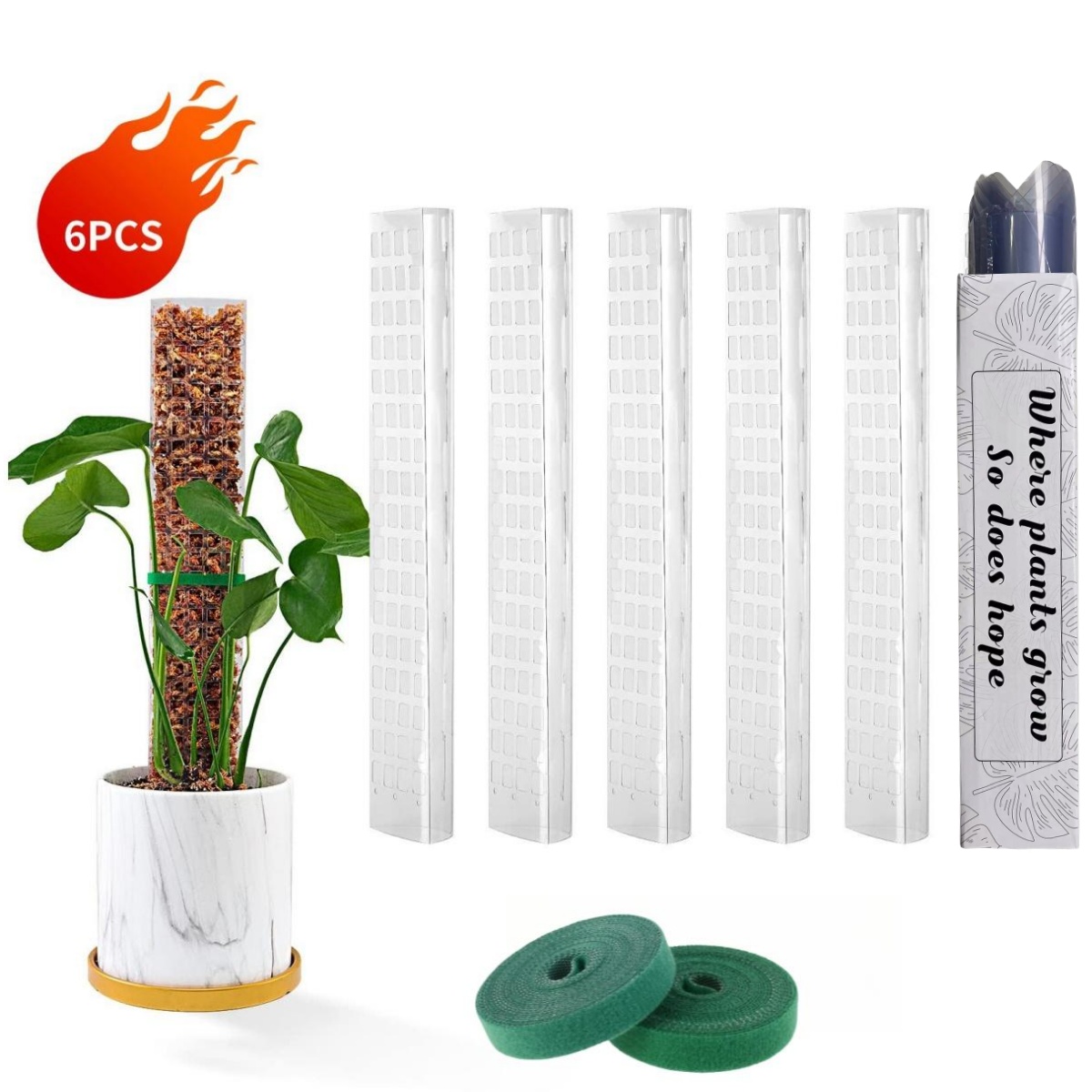 Moss Poles Plants Plant Suppor - Echeveria Succulent のレビューと価格