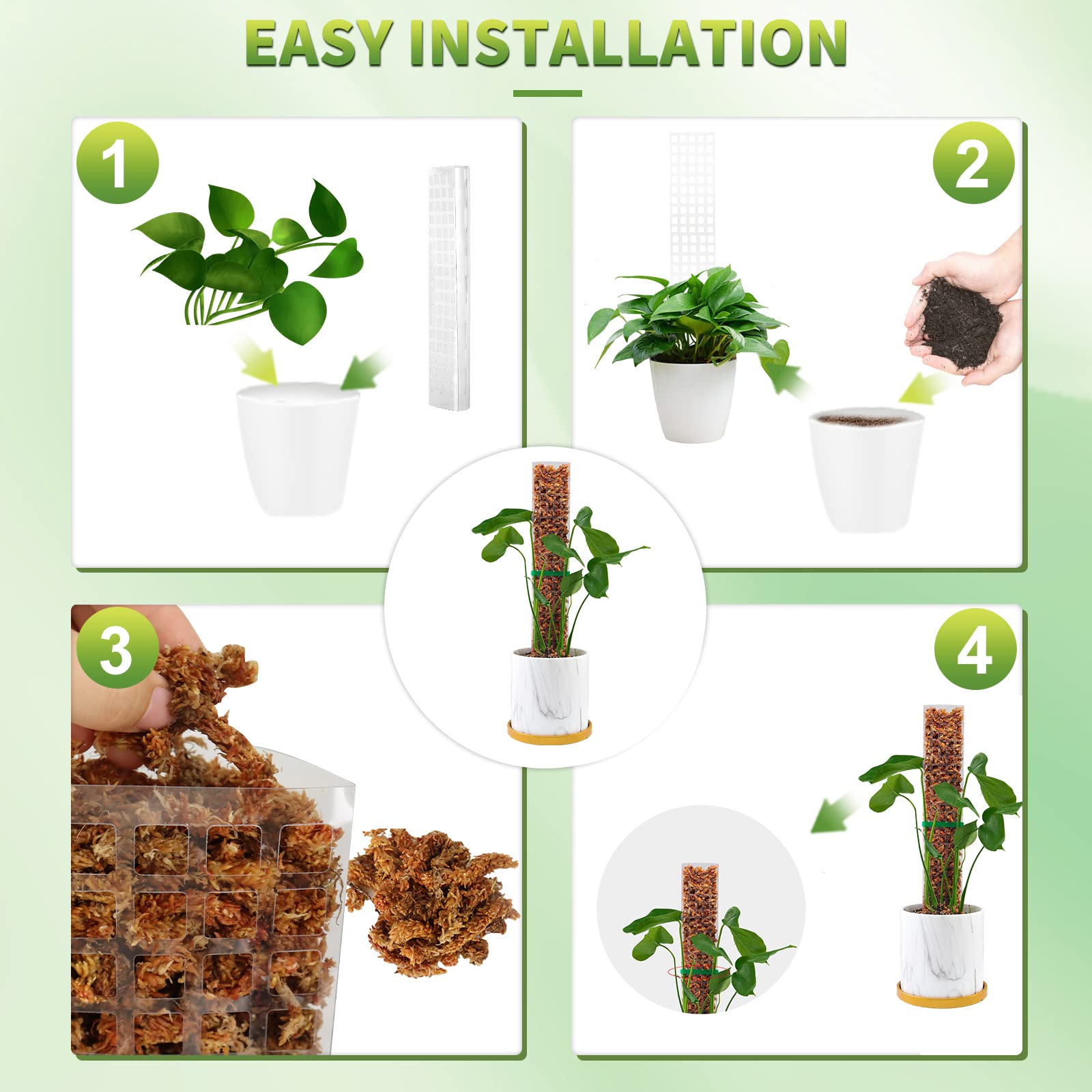 Moss Poles Plants Plant Suppor - Echeveria Succulent のレビューと価格