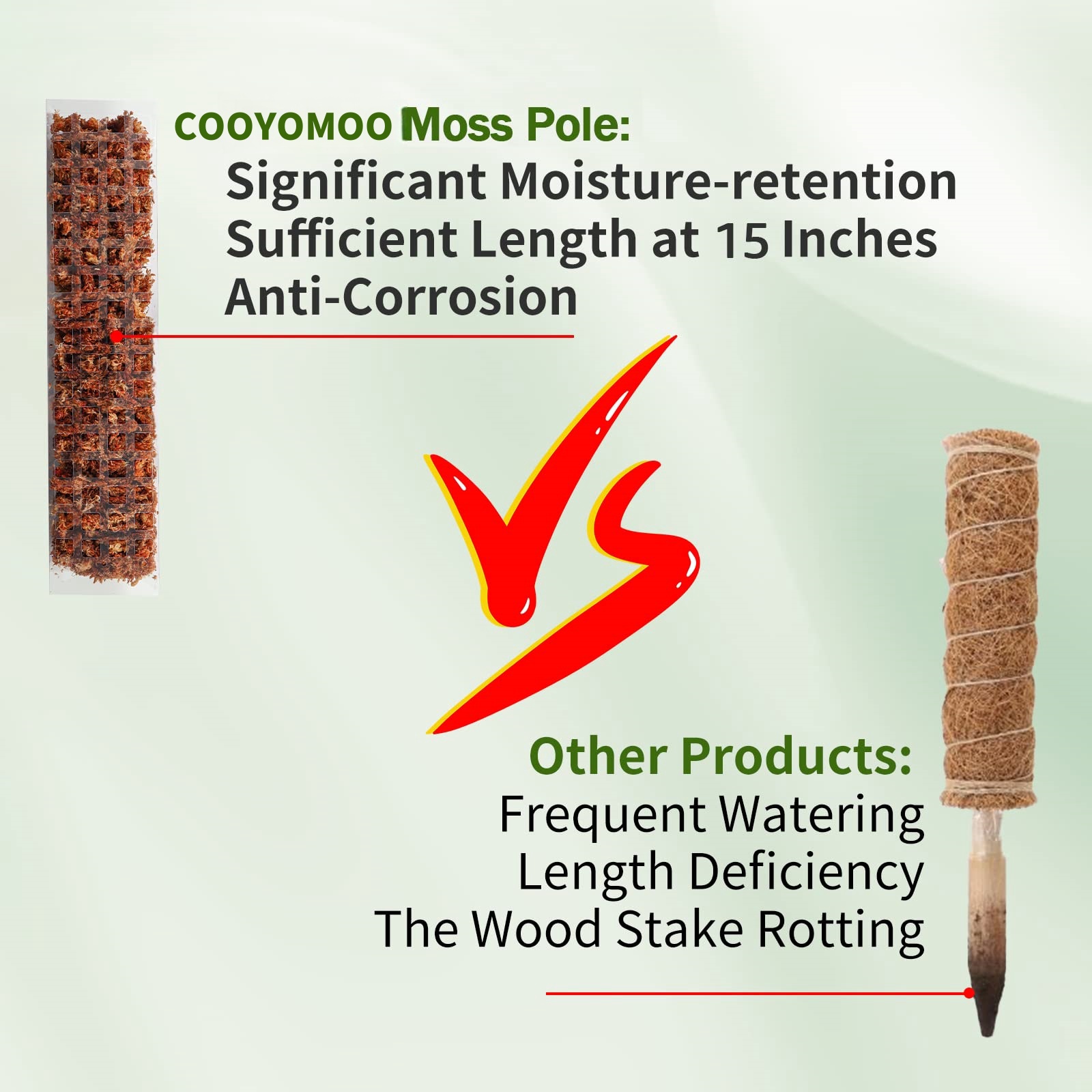 Moss Poles Plants Plant Suppor - Echeveria Succulent のレビューと価格