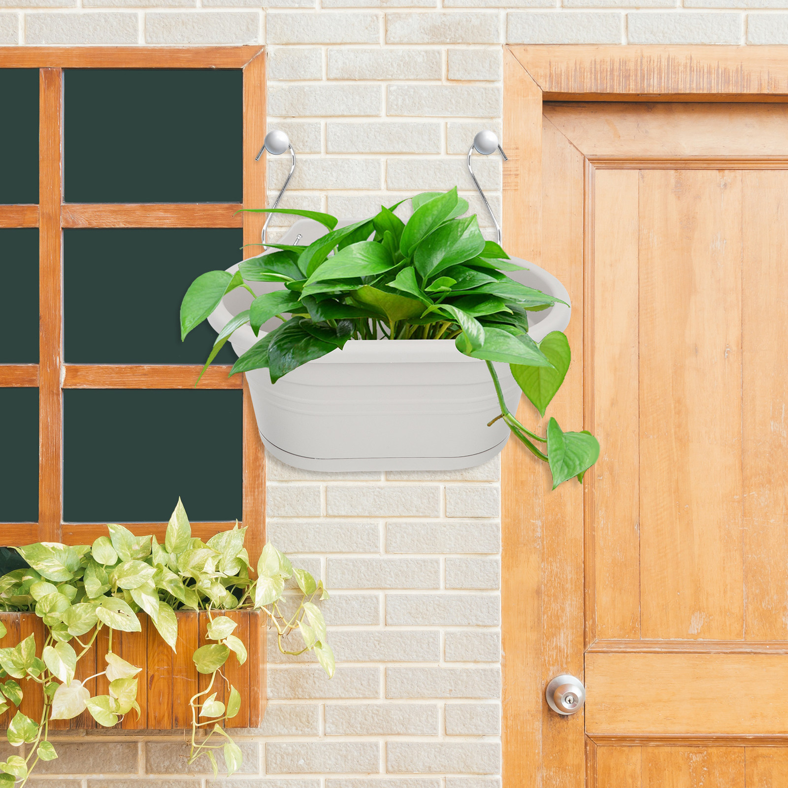 1Set Wall Hanging Flower Pot S - Spider Plant Hanging のレビューと価格