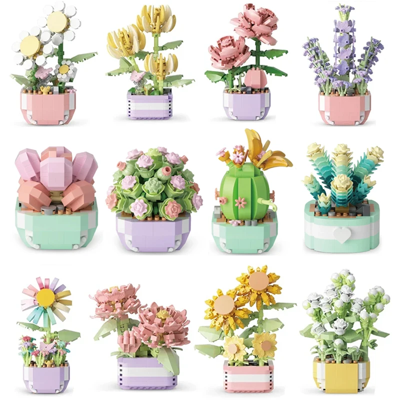 Flower Succulents Building Blo - Echeveria Succulent のレビューと価格