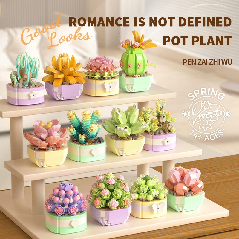 Flower Succulents Building Blo - Echeveria Succulent のレビューと価格