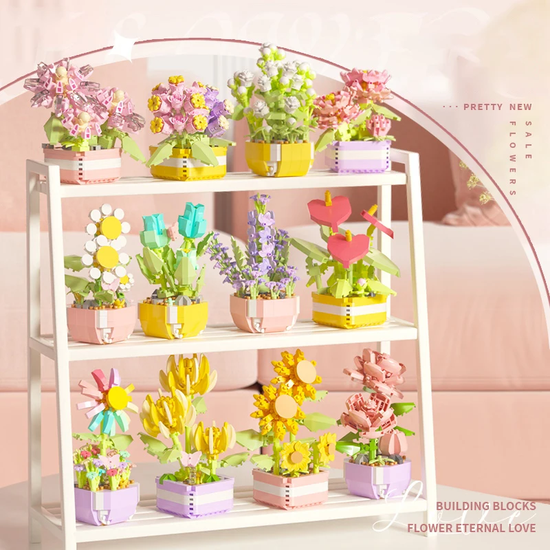 Flower Succulents Building Blo - Echeveria Succulent のレビューと価格