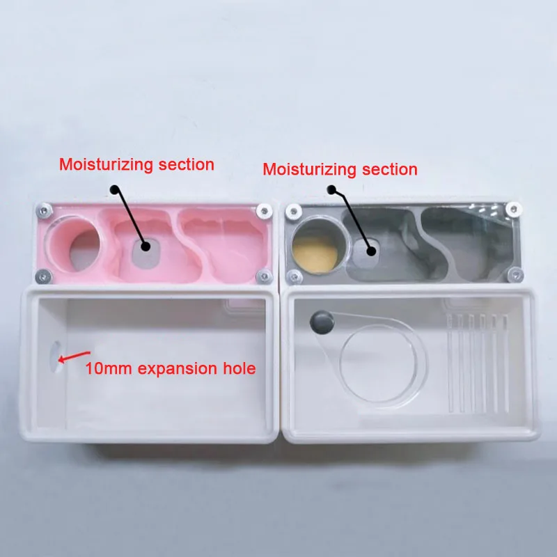 3D Printed Ant Farm queen ant' - Begonia Rex のレビューと価格