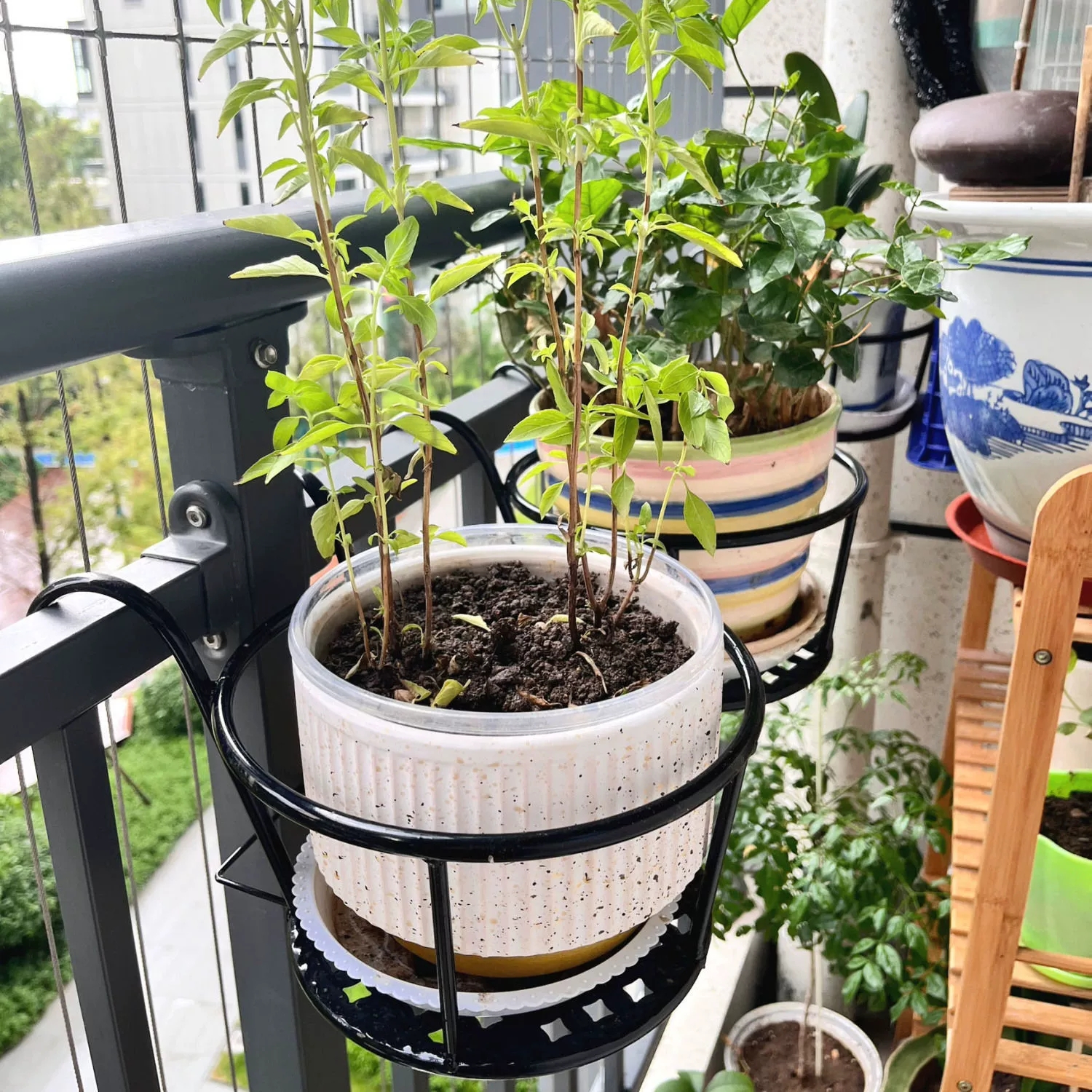 Wrought Iron Balcony Hanging F - Spider Plant Hanging のレビューと価格