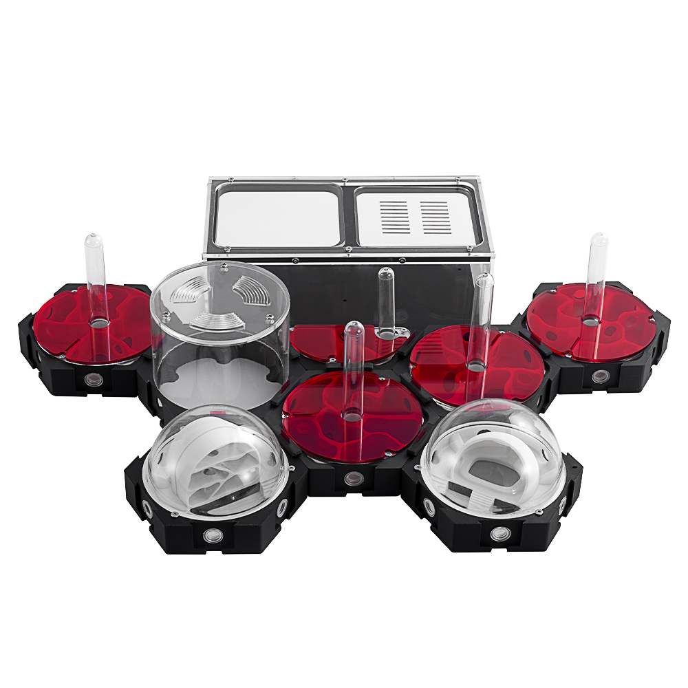 3D Printing Ant Farm Infinitel - Begonia Rex のレビューと価格