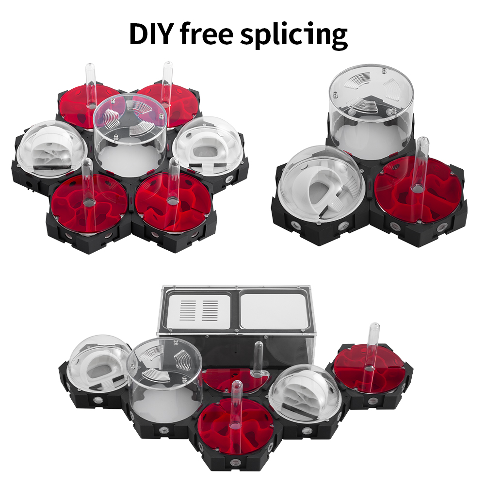 3D Printing Ant Farm Infinitel - Begonia Rex のレビューと価格