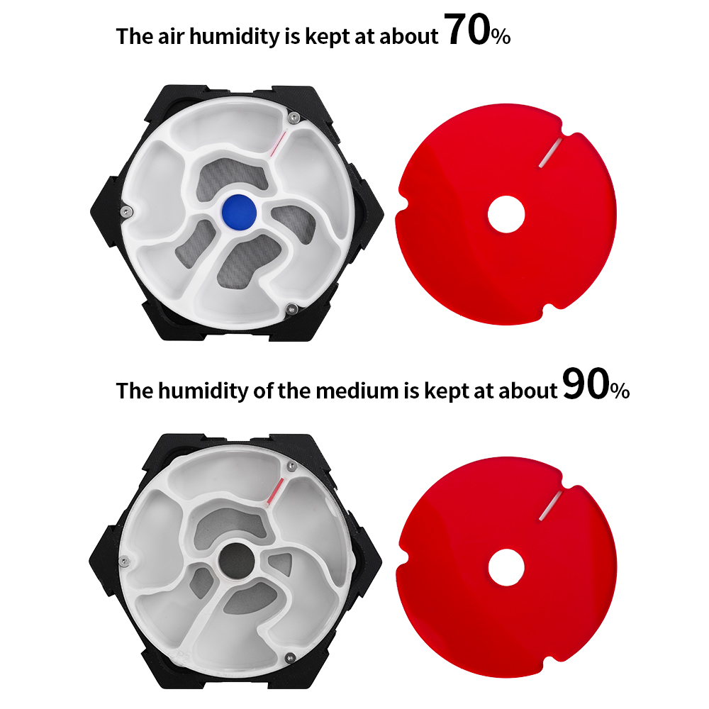 3D Printing Ant Farm Infinitel - Begonia Rex のレビューと価格