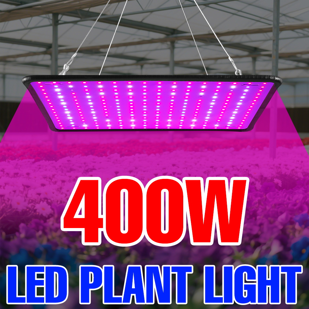 400W LED Grow Light Full Spect - Echeveria Succulent のレビューと価格