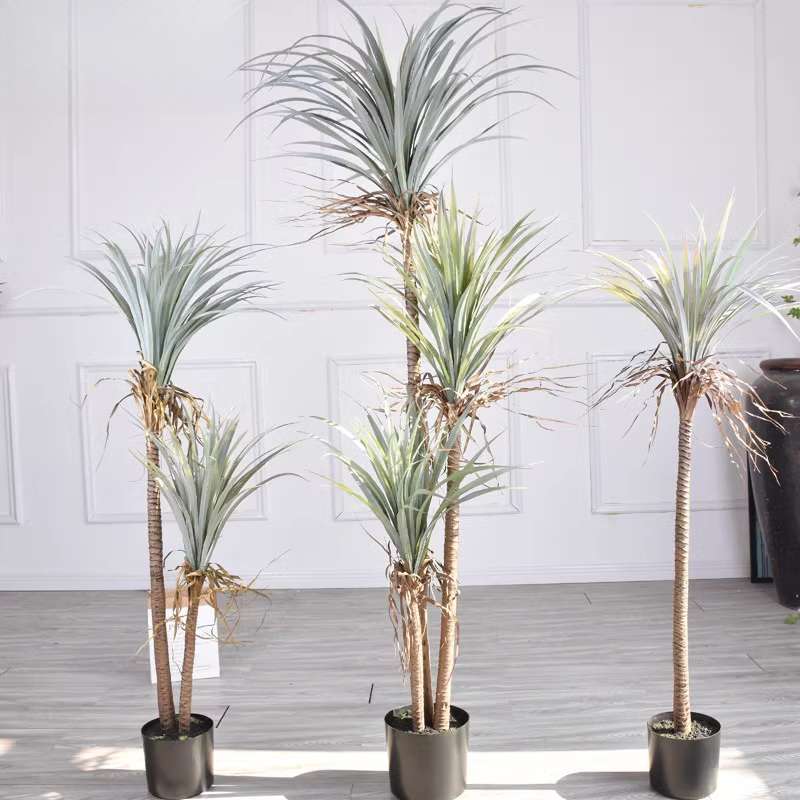 Dragon Blood Yucca Artificial  - Dracaena Marginata のレビューと価格