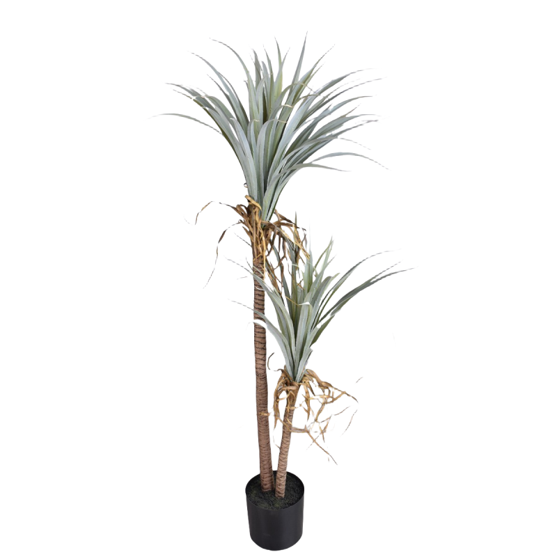 Dragon Blood Yucca Artificial  - Dracaena Marginata のレビューと価格