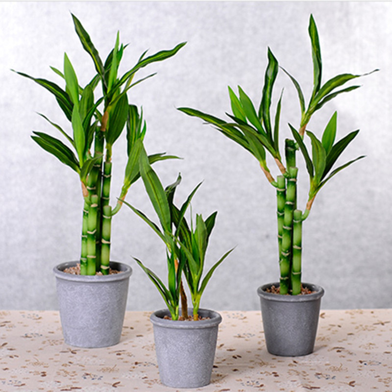New 40cm rFtificial Lucky Bamb - Echeveria Succulent のレビューと価格