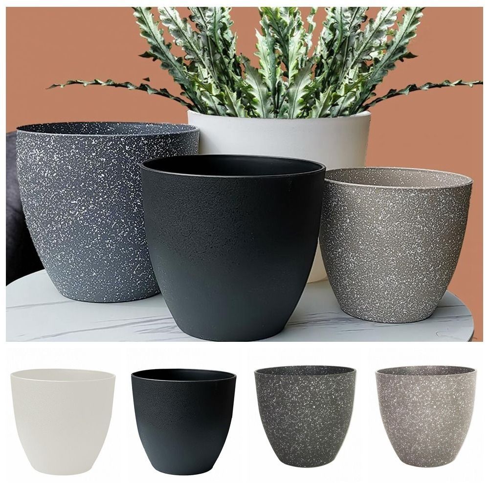 Frosted Imitation Stone Flower - Aloe Vera Pot のレビューと価格