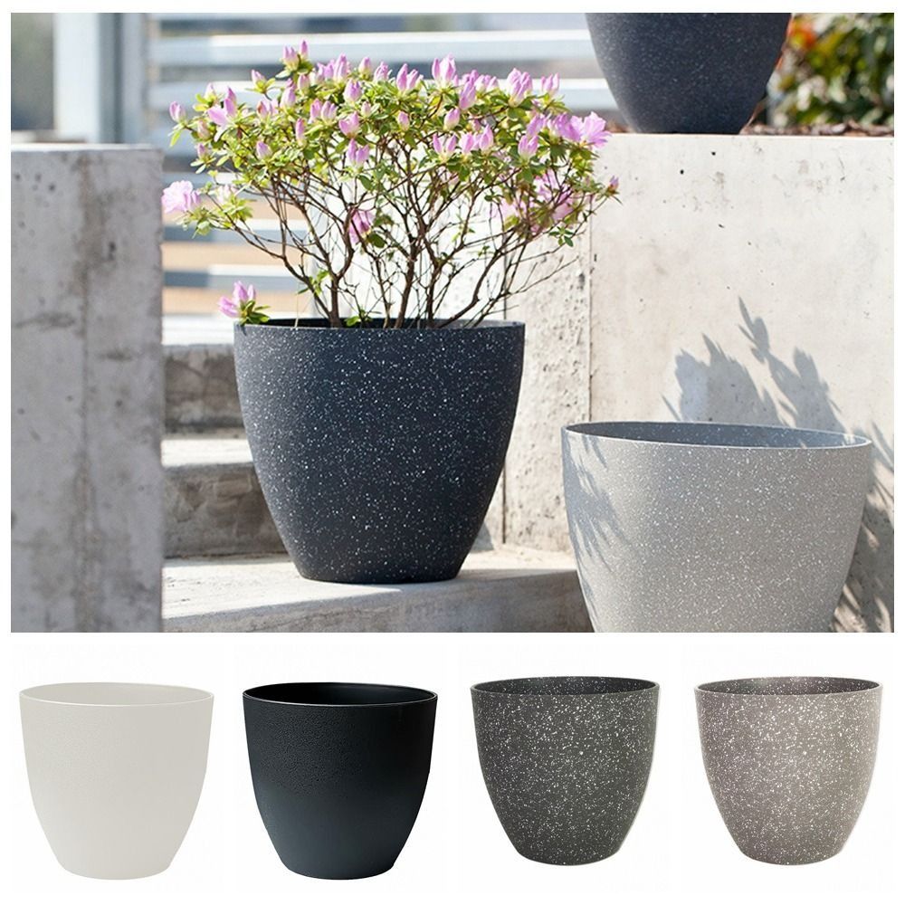 Frosted Imitation Stone Flower - Aloe Vera Pot のレビューと価格