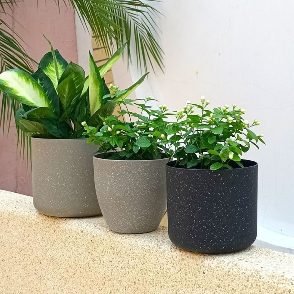 Frosted Imitation Stone Flower - Aloe Vera Pot のレビューと価格