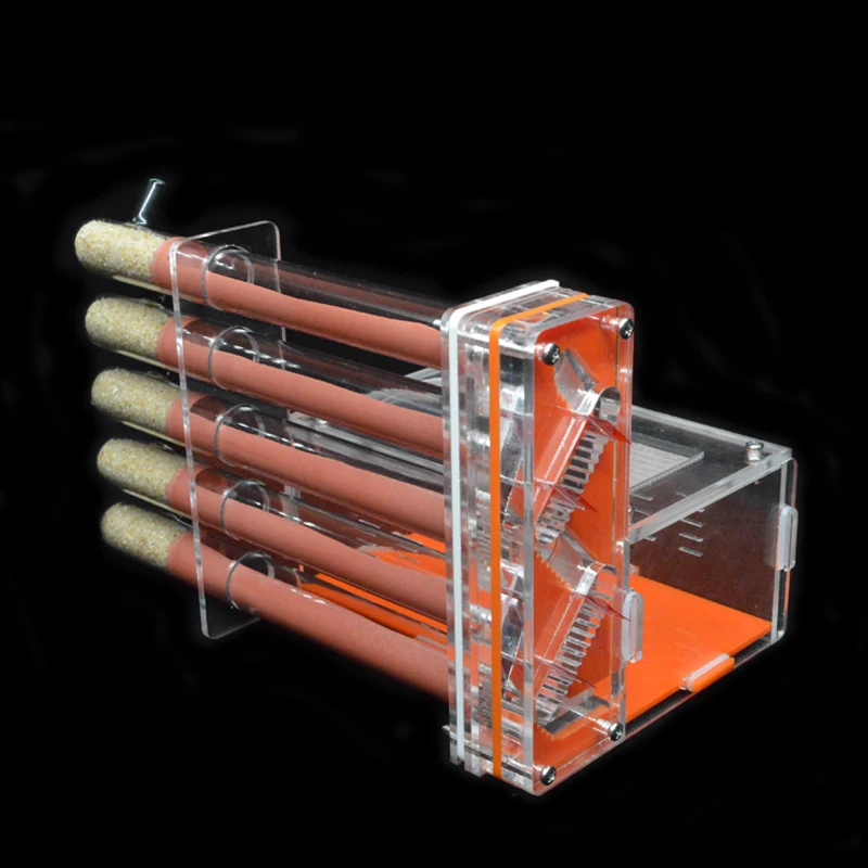 DIY Acrylic Ant Farm 5 pcs 18- - Begonia Rex のレビューと価格
