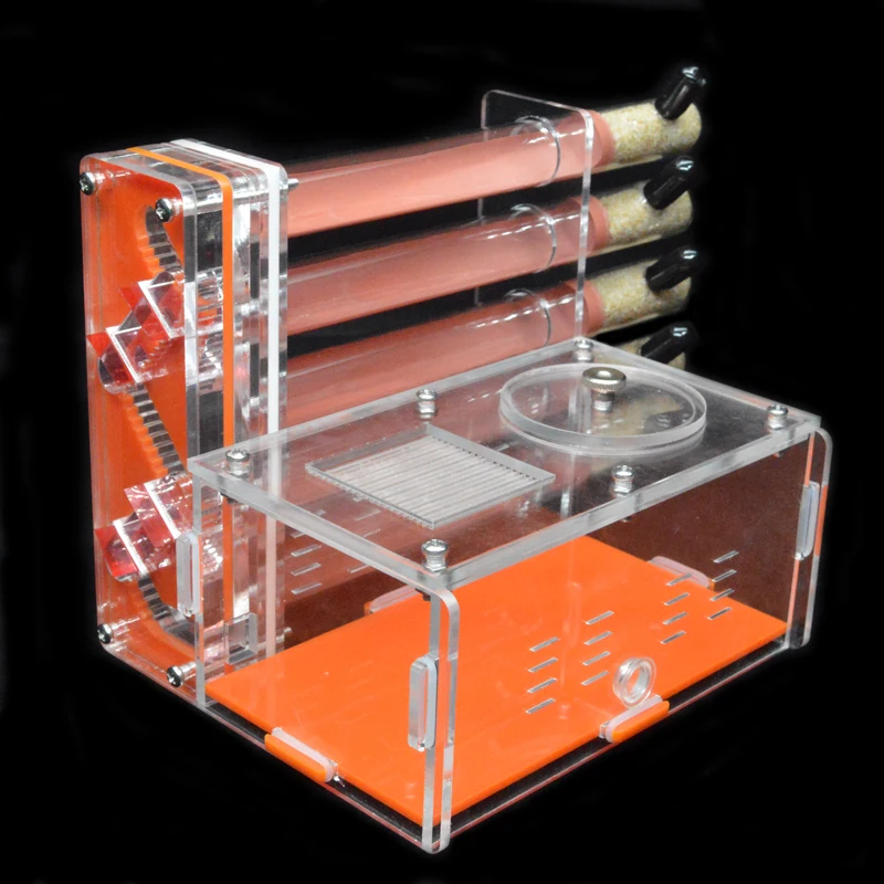 DIY Acrylic Ant Farm 5 pcs 18- - Begonia Rex のレビューと価格