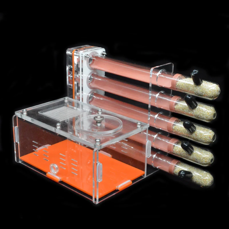 DIY Acrylic Ant Farm 5 pcs 18- - Begonia Rex のレビューと価格