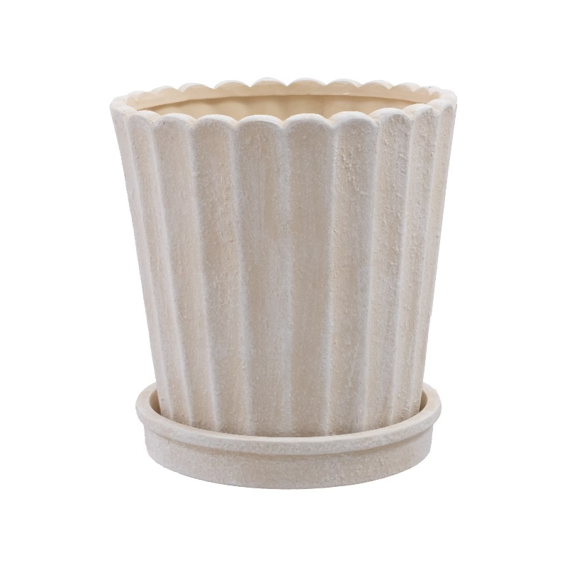 8 Inch Shell Planter Cream Cer - Aloe Vera Pot のレビューと価格
