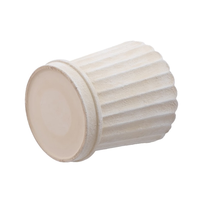 8 Inch Shell Planter Cream Cer - Aloe Vera Pot のレビューと価格