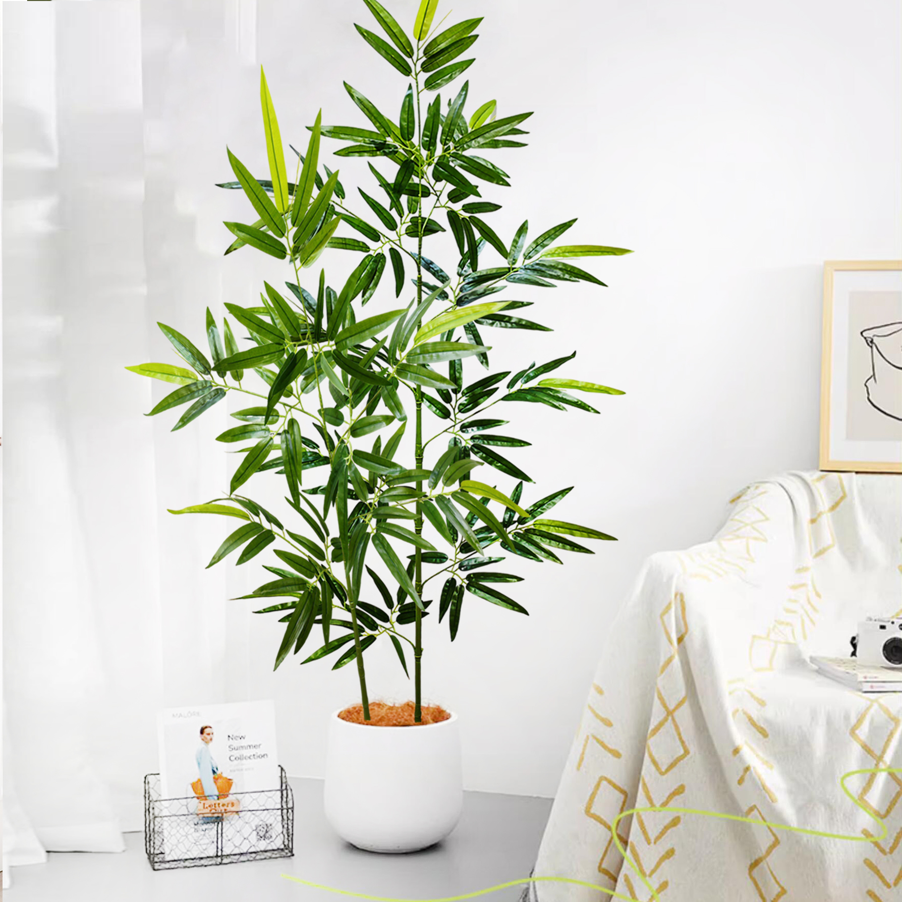100-240cm/94.4in Artificial ba - Dracaena Marginata のレビューと価格