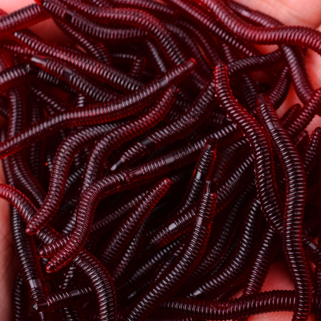 50pcs Lifelike Red Worm Soft L - Aglaonema Red のレビューと価格