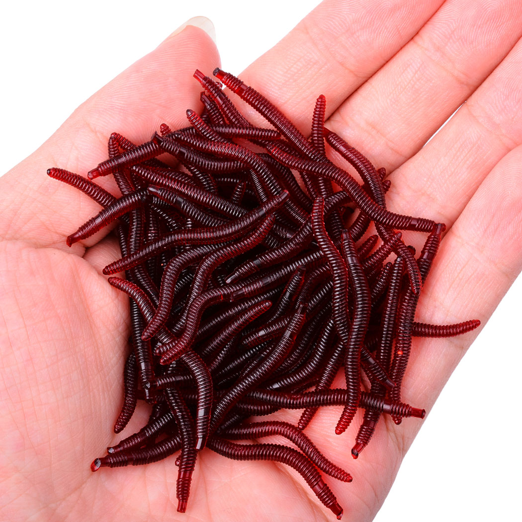50pcs Lifelike Red Worm Soft L - Aglaonema Red のレビューと価格