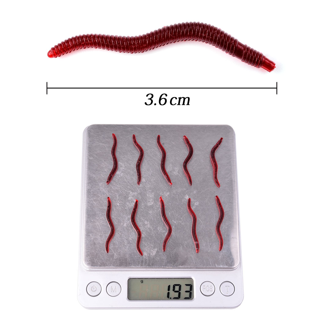 50pcs Lifelike Red Worm Soft L - Aglaonema Red のレビューと価格