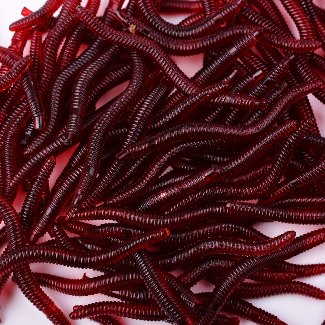 50pcs Lifelike Red Worm Soft L - Aglaonema Red のレビューと価格
