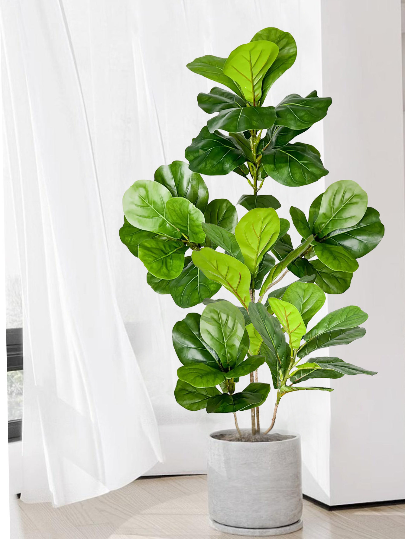70-135cm Large Artificial Ficu - Dracaena Marginata のレビューと価格