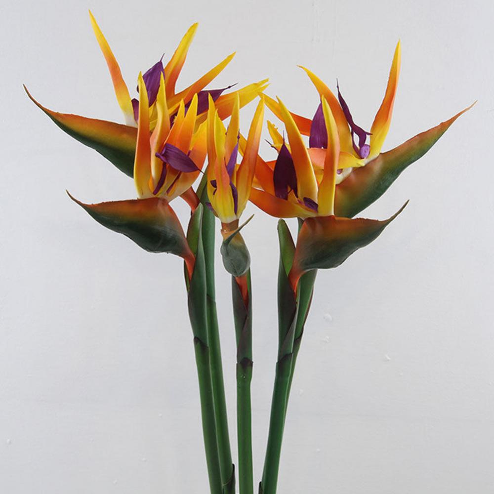 1pc 80cm Flower Bird Of Paradi - Bird Paradise Strelitzia のレビューと価格