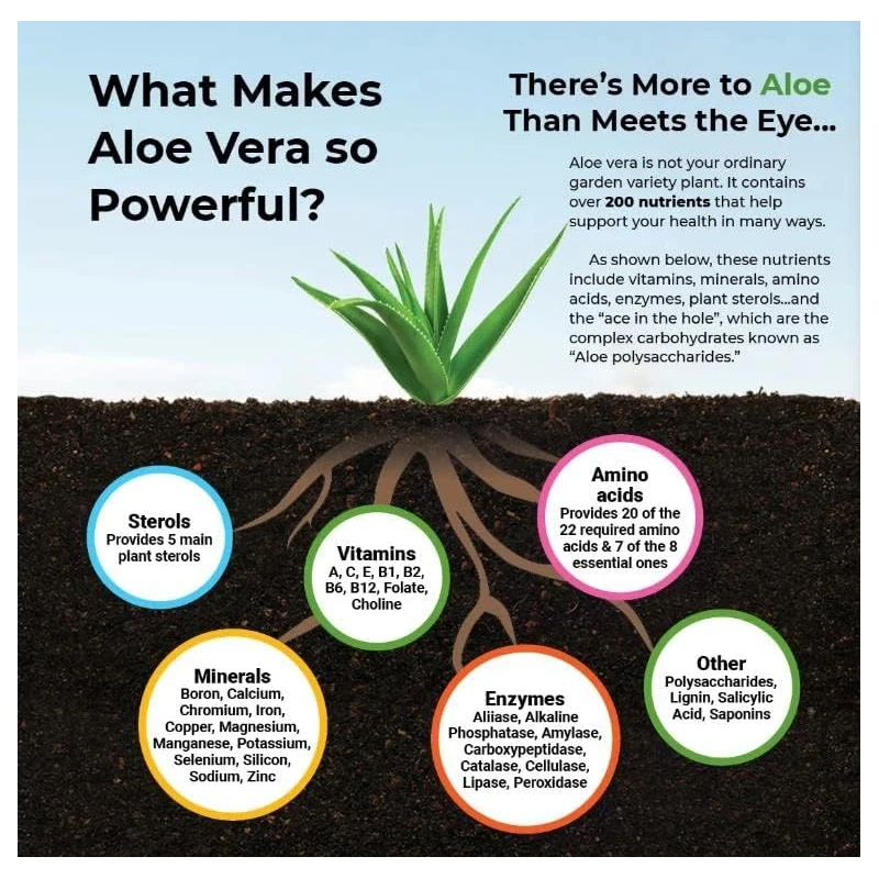 Aloe Vera Capsules - Help Prom - Aloe Vera Pot のレビューと価格