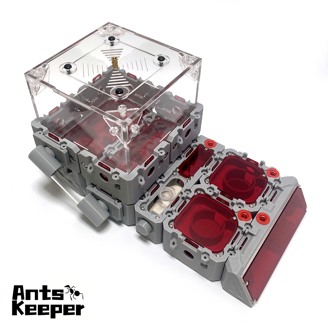 【Lego】Expandable Modular Formi - Begonia Rex のレビューと価格