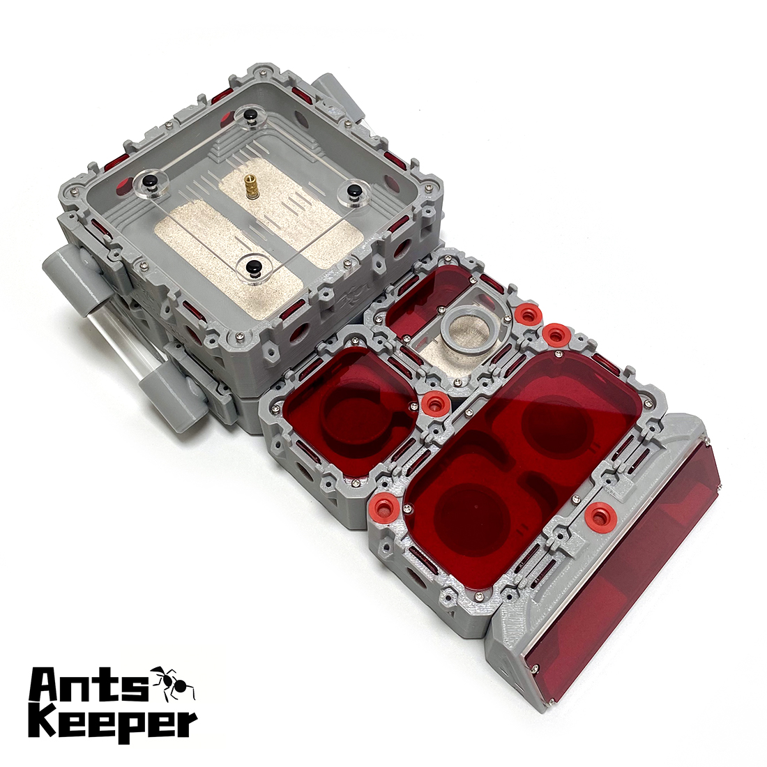 【Lego】Expandable Modular Formi - Begonia Rex のレビューと価格