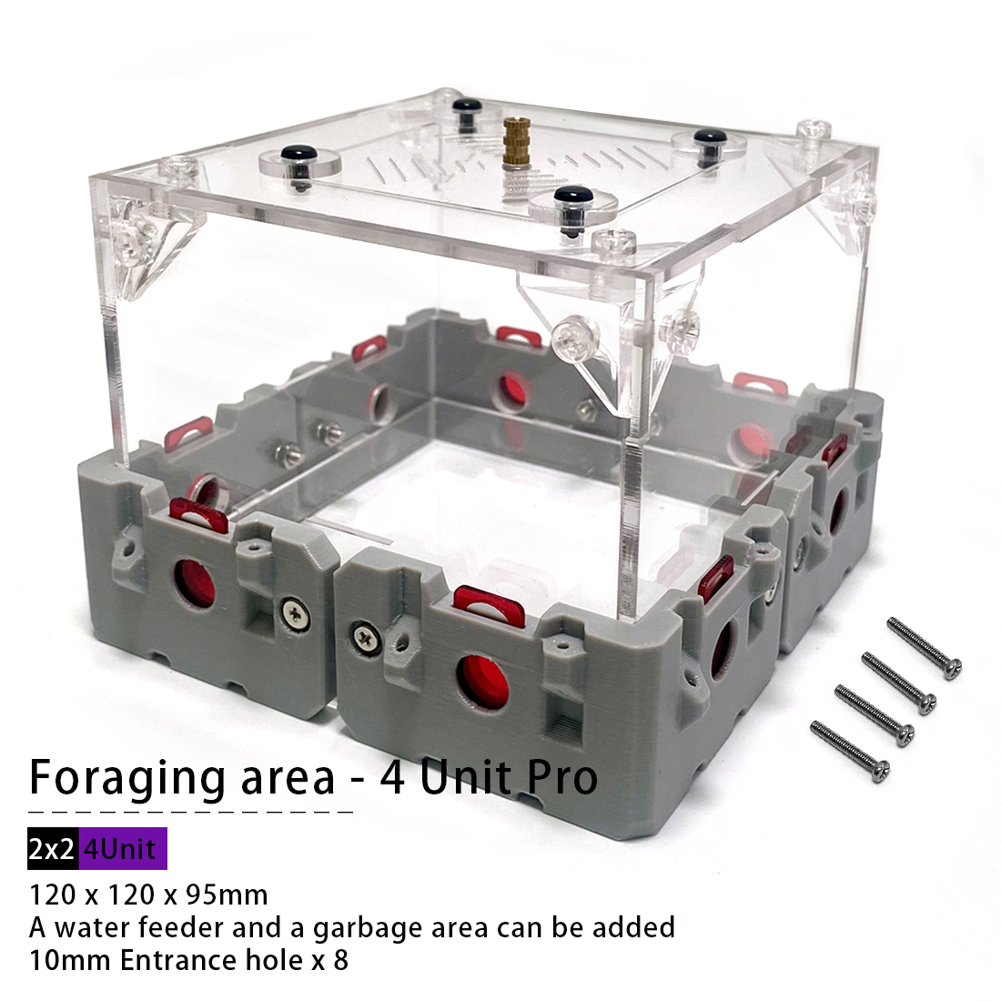 【Lego】Expandable Modular Formi - Begonia Rex のレビューと価格