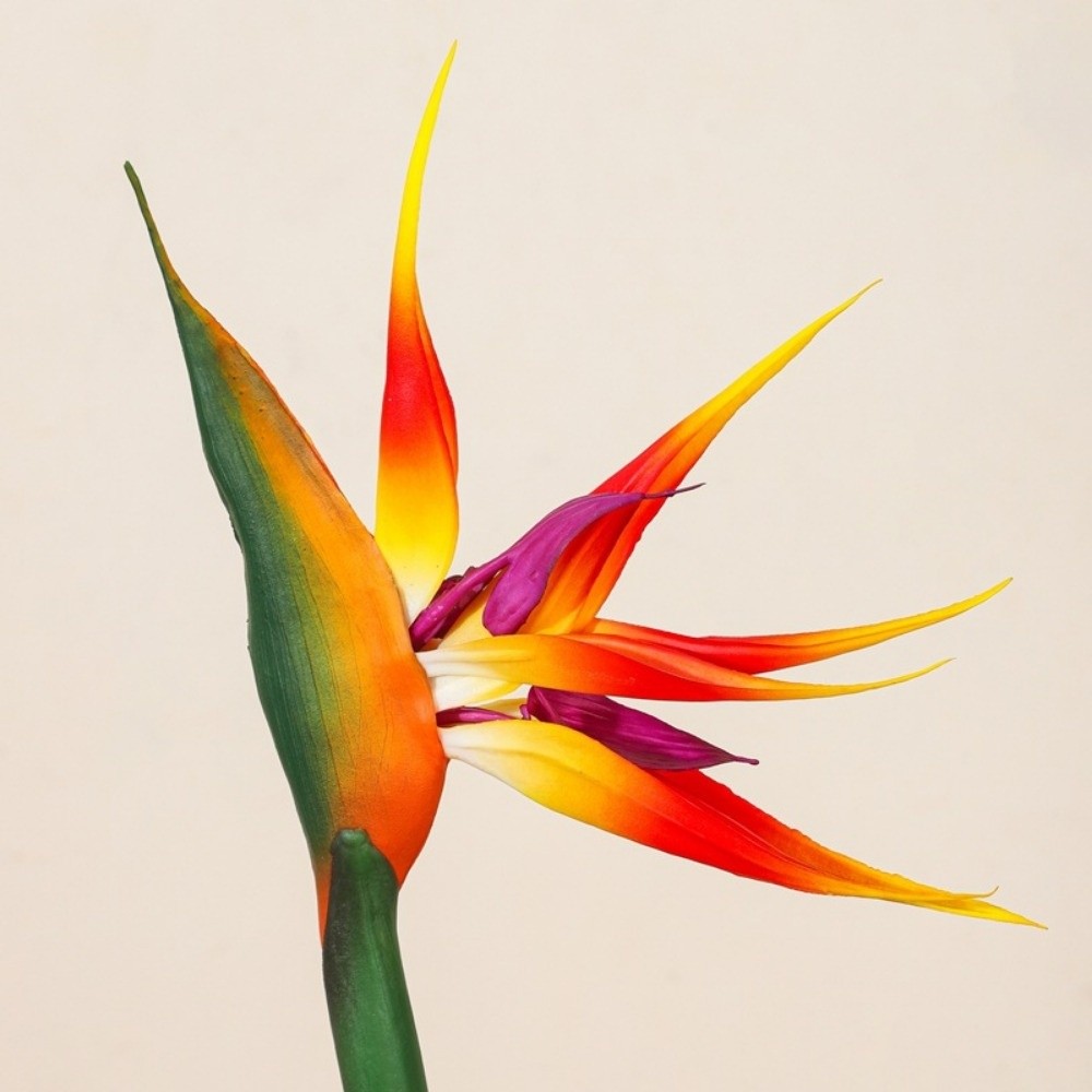 New Long Stem Artificial Bird  - Bird Paradise Strelitzia のレビューと価格