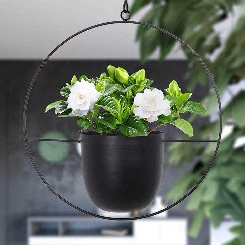 Hanging Iron Art Plant Pots Ba - Spider Plant Hanging のレビューと価格