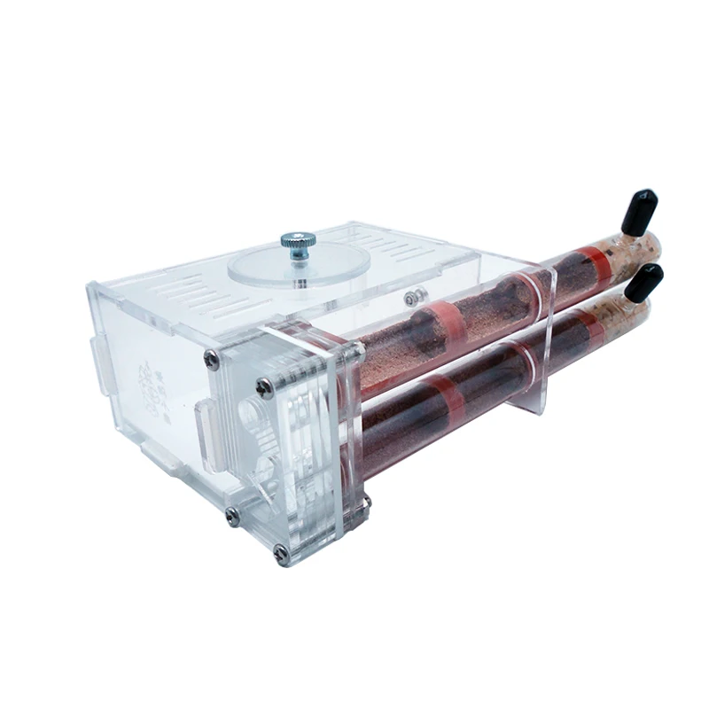 DIY Ant Farm 2 pcs 18-180mm Gy - Begonia Rex のレビューと価格