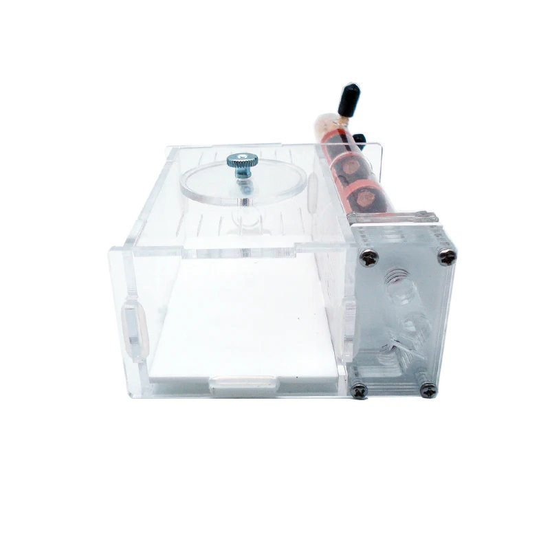 DIY Ant Farm 2 pcs 18-180mm Gy - Begonia Rex のレビューと価格