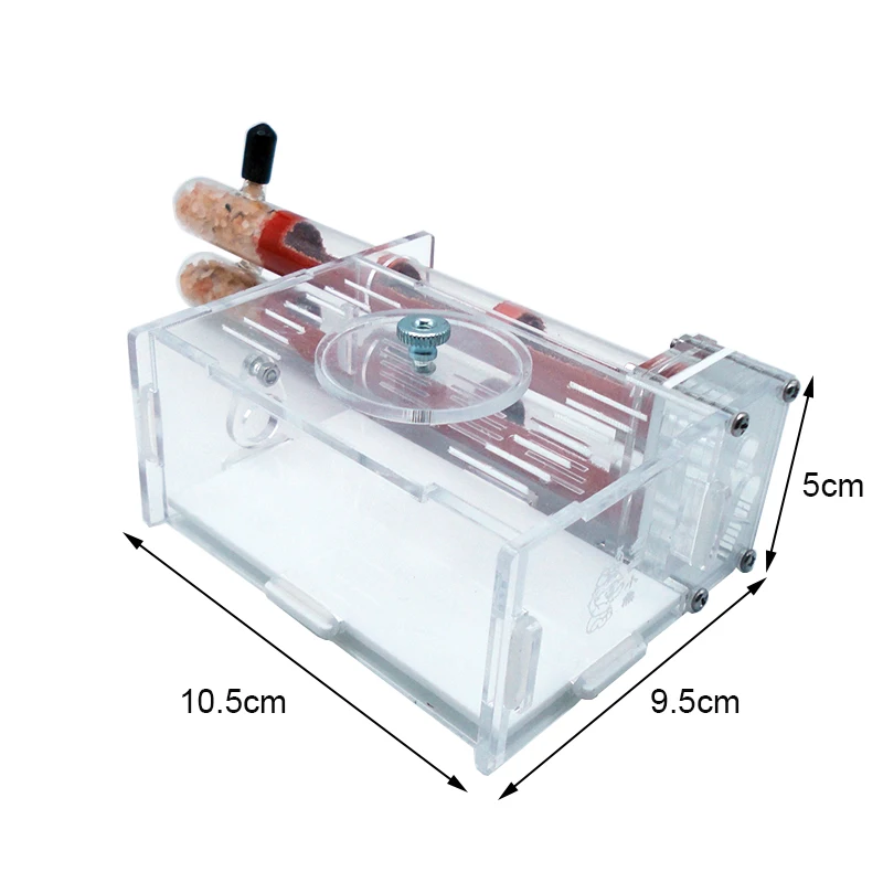 DIY Ant Farm 2 pcs 18-180mm Gy - Begonia Rex のレビューと価格