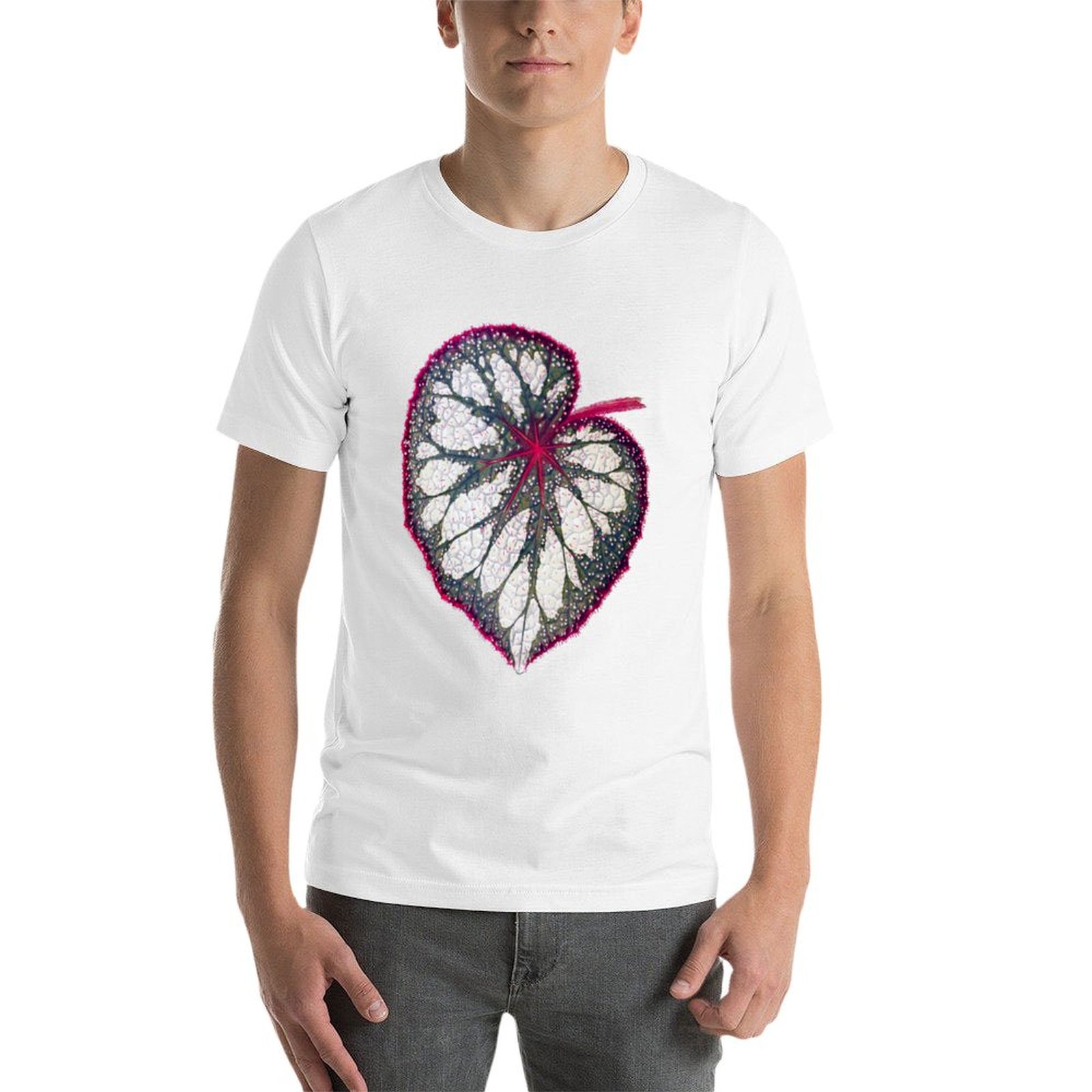 Begonia rex T-Shirt man graphi - Begonia Rex のレビューと価格