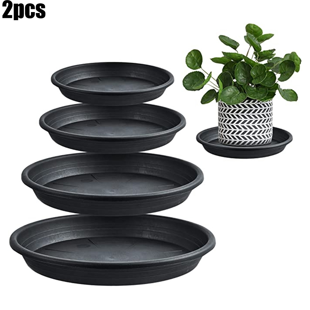 2pcs Plant Trays Round Succule - Echeveria Succulent のレビューと価格