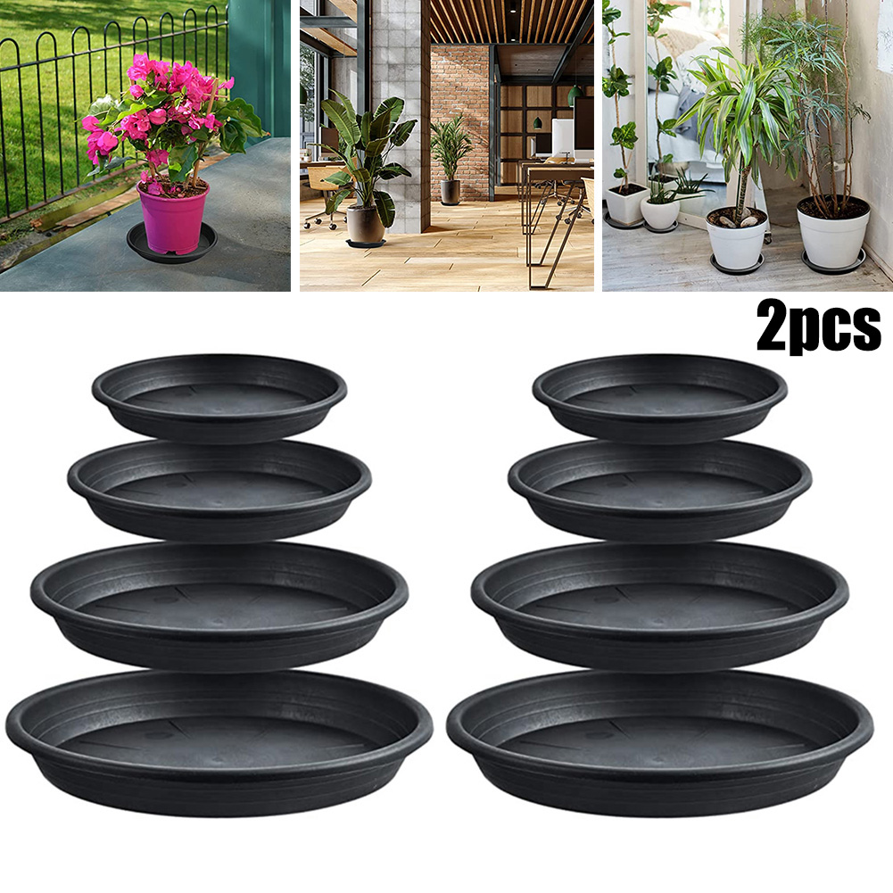 2pcs Plant Trays Round Succule - Echeveria Succulent のレビューと価格