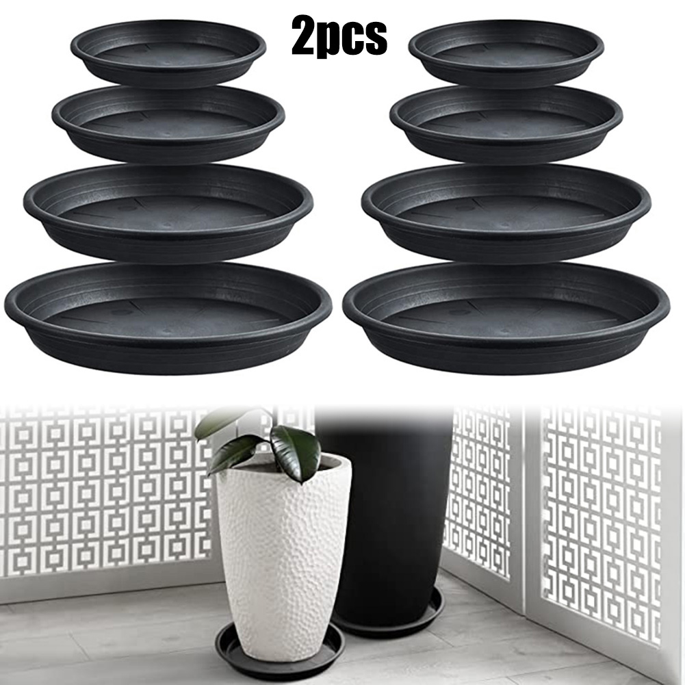 2pcs Plant Trays Round Succule - Echeveria Succulent のレビューと価格