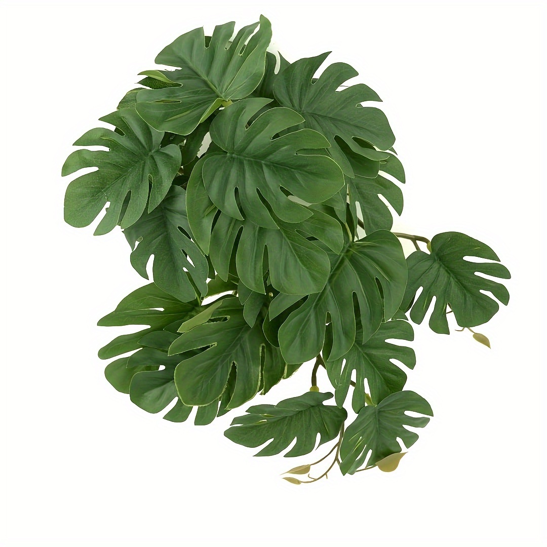 Reptile Plants for Terrarium A - Monstera Adansonii のレビューと価格