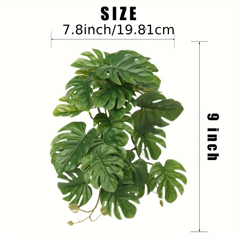Reptile Plants for Terrarium A - Monstera Adansonii のレビューと価格