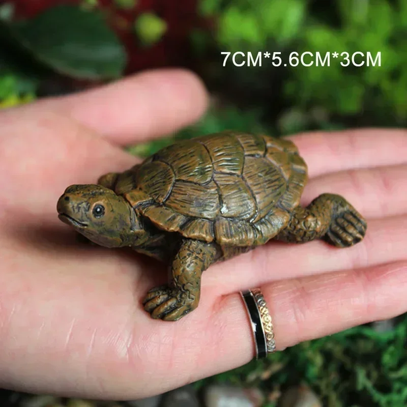 Simulation of Small Turtle Res - Echeveria Succulent のレビューと価格